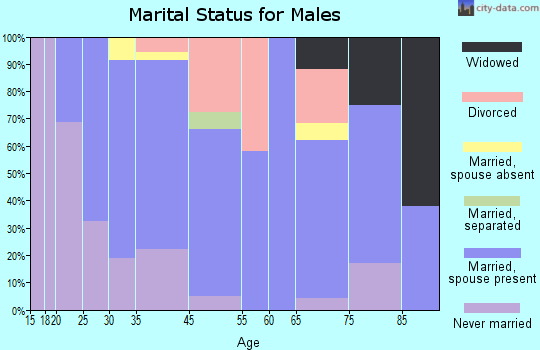 Brownville marital status for males