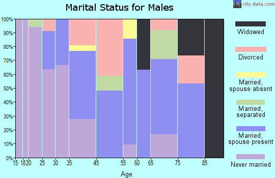 Madison marital status for males