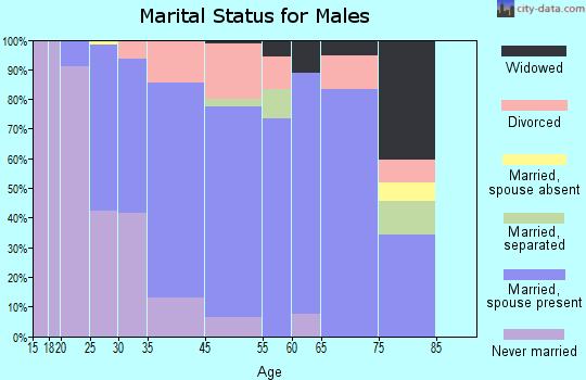 Budd Lake marital status for males