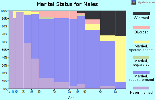 Cherry Hill Mall marital status for males