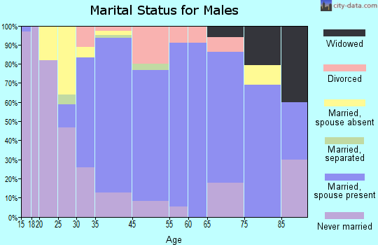 Chester marital status for males