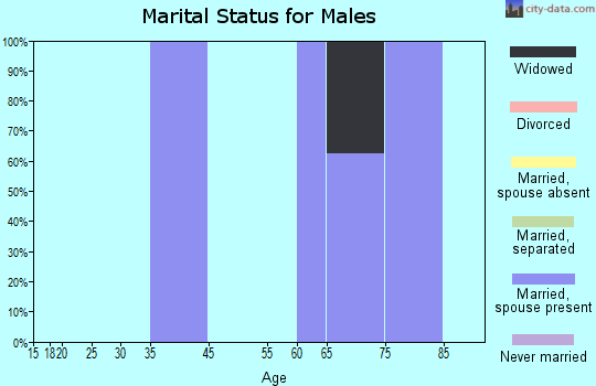 Diamond Beach marital status for males