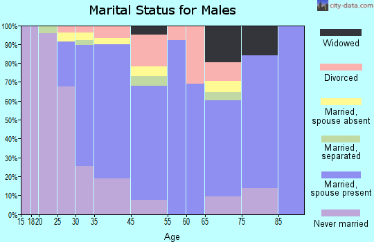 Dunellen marital status for males