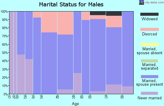 Mammoth Spring marital status for males
