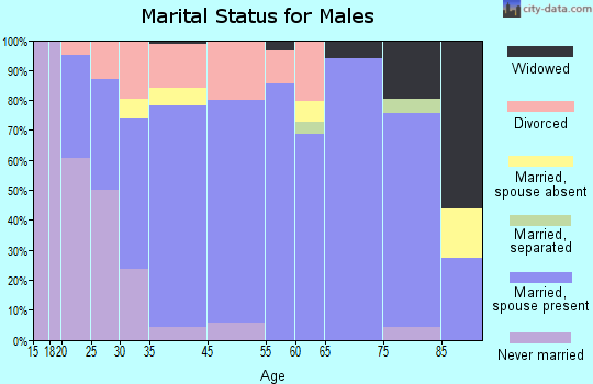 Arab marital status for males
