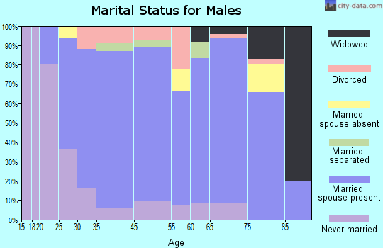 Elmer marital status for males