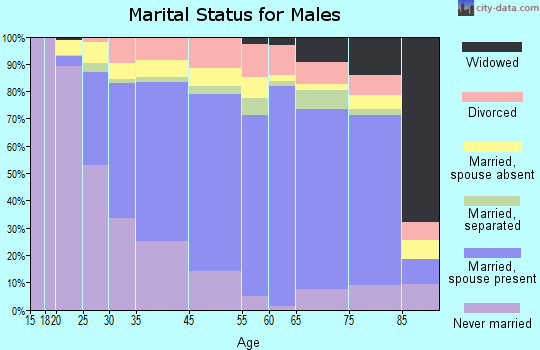 Englewood marital status for males