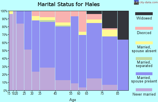 Erlton-Ellisburg marital status for males