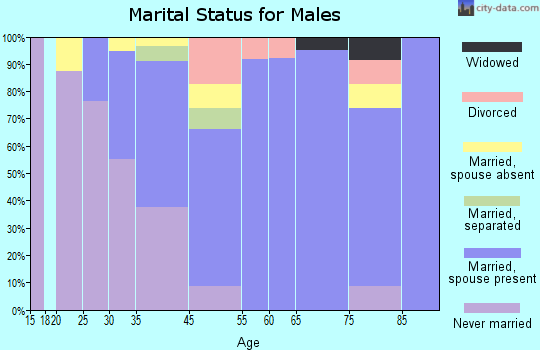 Far Hills marital status for males