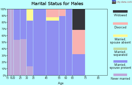 Great Meadows-Vienna marital status for males