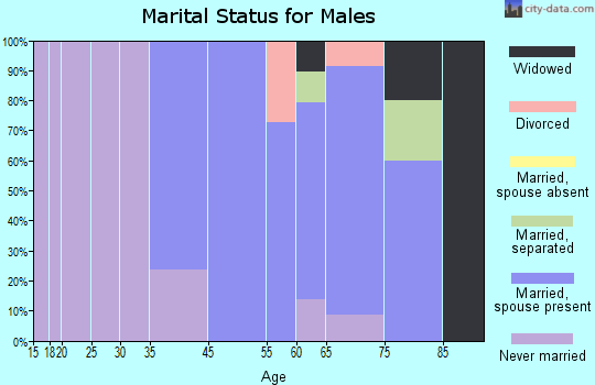 Harvey Cedars marital status for males