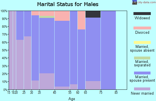 High Bridge marital status for males
