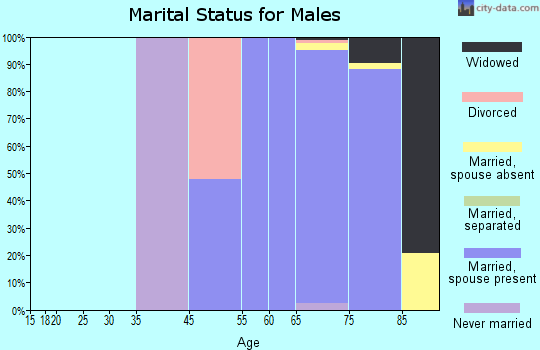 Holiday Heights marital status for males