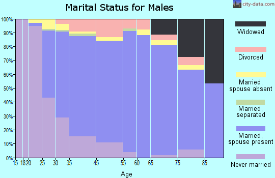 Iselin marital status for males