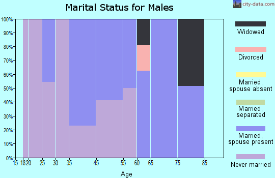 Kingston marital status for males