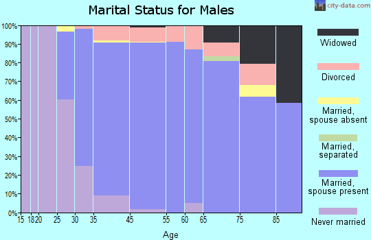 Lake Mohawk marital status for males