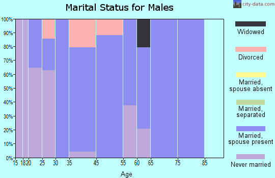 Lake Telemark marital status for males