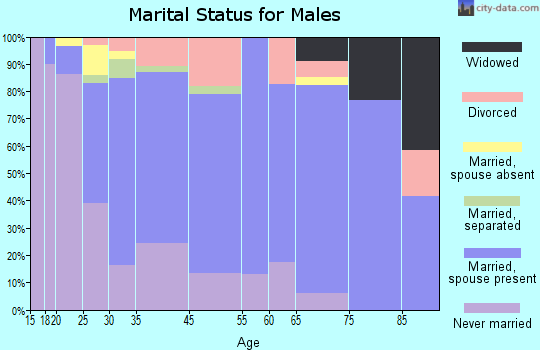 Laurel Springs marital status for males
