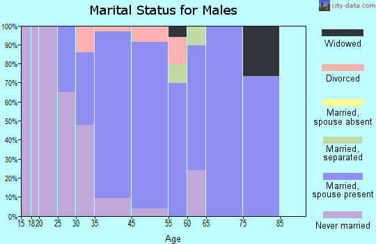 Lawrenceville marital status for males
