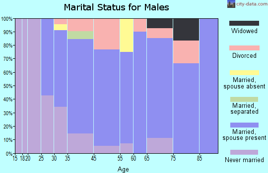 Lebanon marital status for males