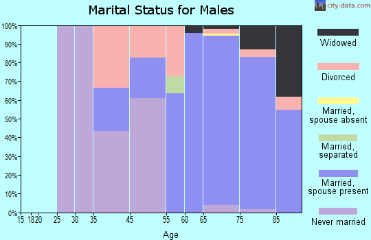 Leisure Village East marital status for males