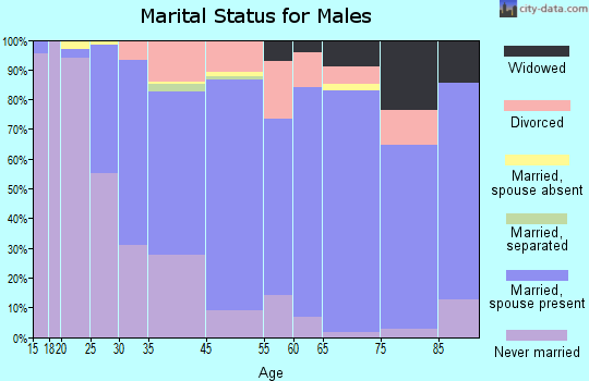 Little Falls marital status for males