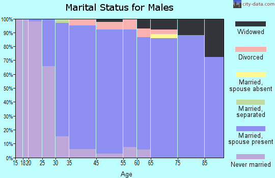 Little Silver marital status for males