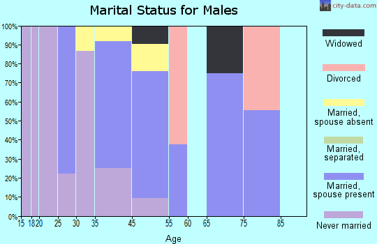 Loch Arbour marital status for males