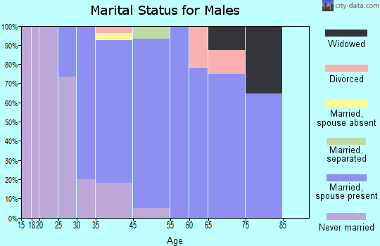 Long Valley marital status for males