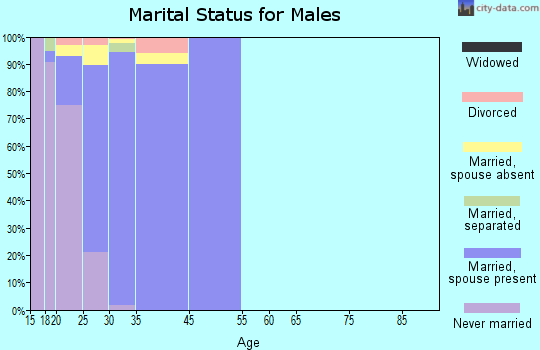 McGuire AFB marital status for males