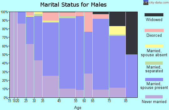 Matawan marital status for males