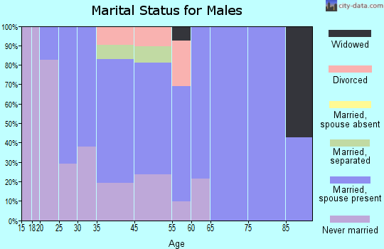 Mays Landing marital status for males