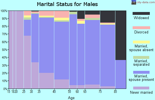 Metuchen marital status for males