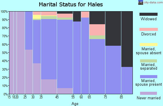 Mount Arlington marital status for males