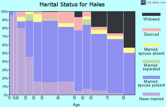 Mystic Island marital status for males