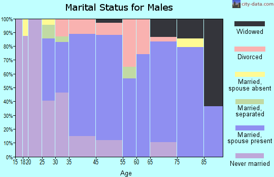 Netcong marital status for males