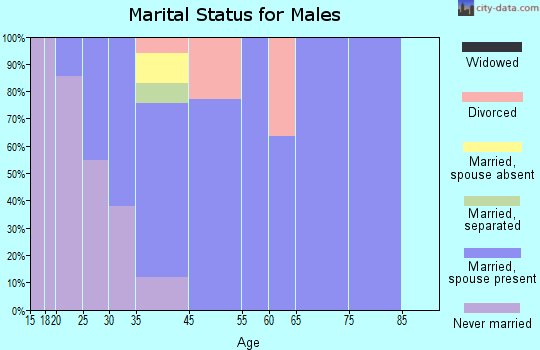 New Egypt marital status for males