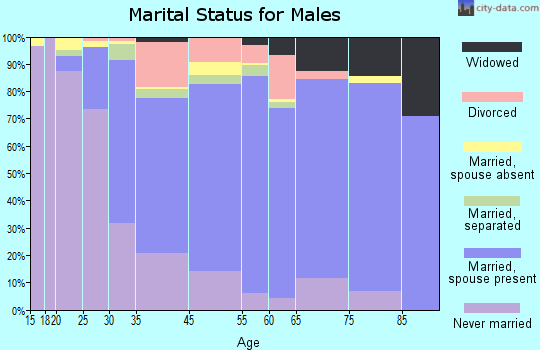 North Arlington marital status for males