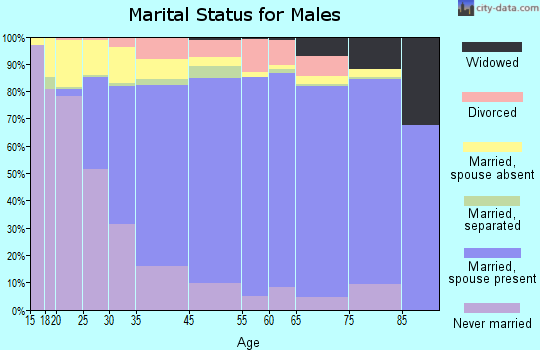 North Brunswick Township marital status for males