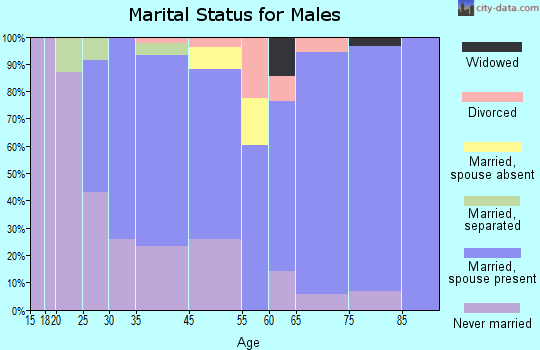 North Cape May marital status for males