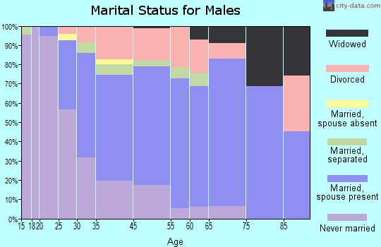 Palmyra marital status for males