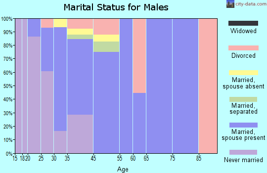 Plainsboro Center marital status for males