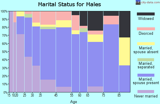 Morrilton marital status for males