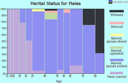 Princeton Junction marital status for males