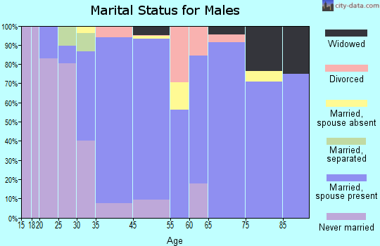 Princeton North marital status for males