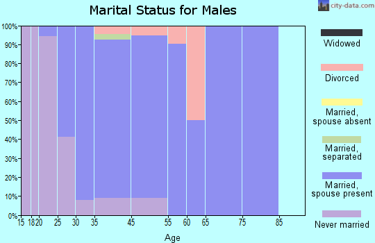 Ramtown marital status for males