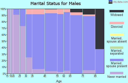 River Vale marital status for males