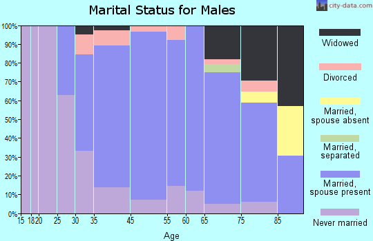 Rochelle Park marital status for males
