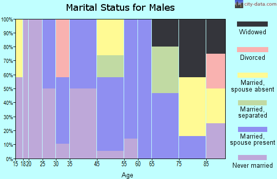 Rockleigh marital status for males