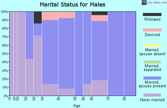 Rocky Hill marital status for males